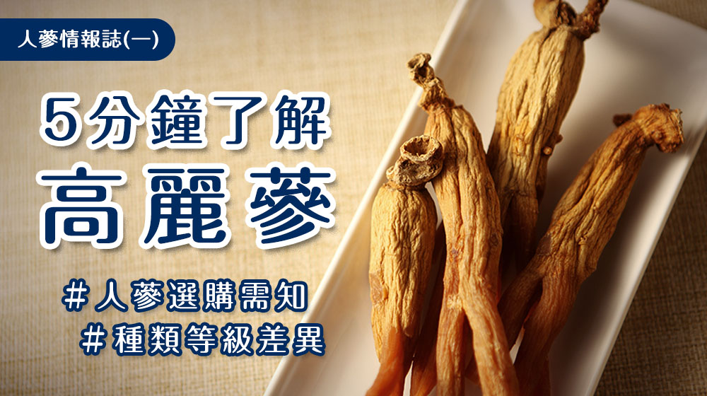 高麗蔘怎麼選？老手不外傳的祕訣公開！