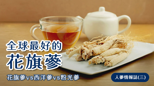 不容錯過的花旗蔘選購攻略：探索頂尖美國人蔘