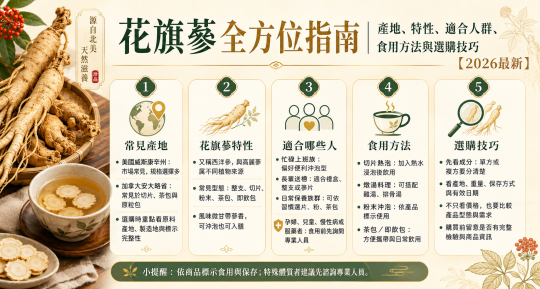 花旗蔘全方位指南｜產地、特性、適合人群、食用方法與選購技巧【2026最新】