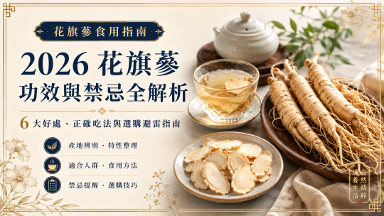 2026花旗蔘功效與禁忌解析｜研究現況、食用方法與選購避雷指南