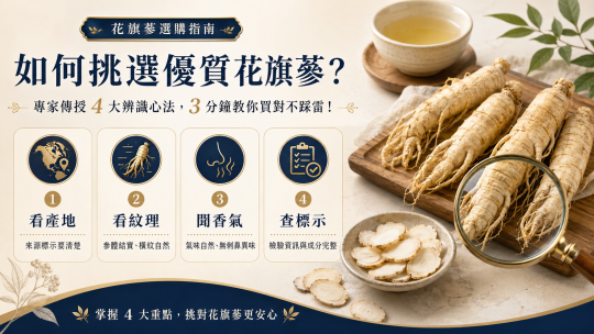 如何挑選優質花旗蔘？專家傳授 4 大辨識心法，3 分鐘教你買對不踩雷！