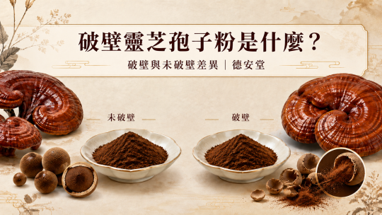 破壁靈芝孢子粉是什麼？破壁與未破壁差異｜德安堂
