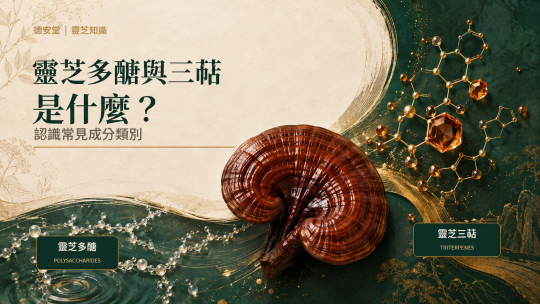 靈芝多醣與三萜是什麼？β-葡聚糖與標示解析｜德安堂
