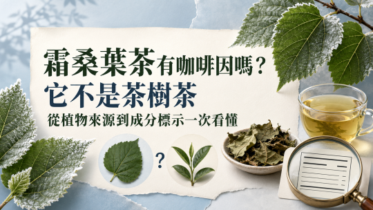 霜桑葉茶有咖啡因嗎？它不是茶樹茶，從植物來源到成分標示一次看懂