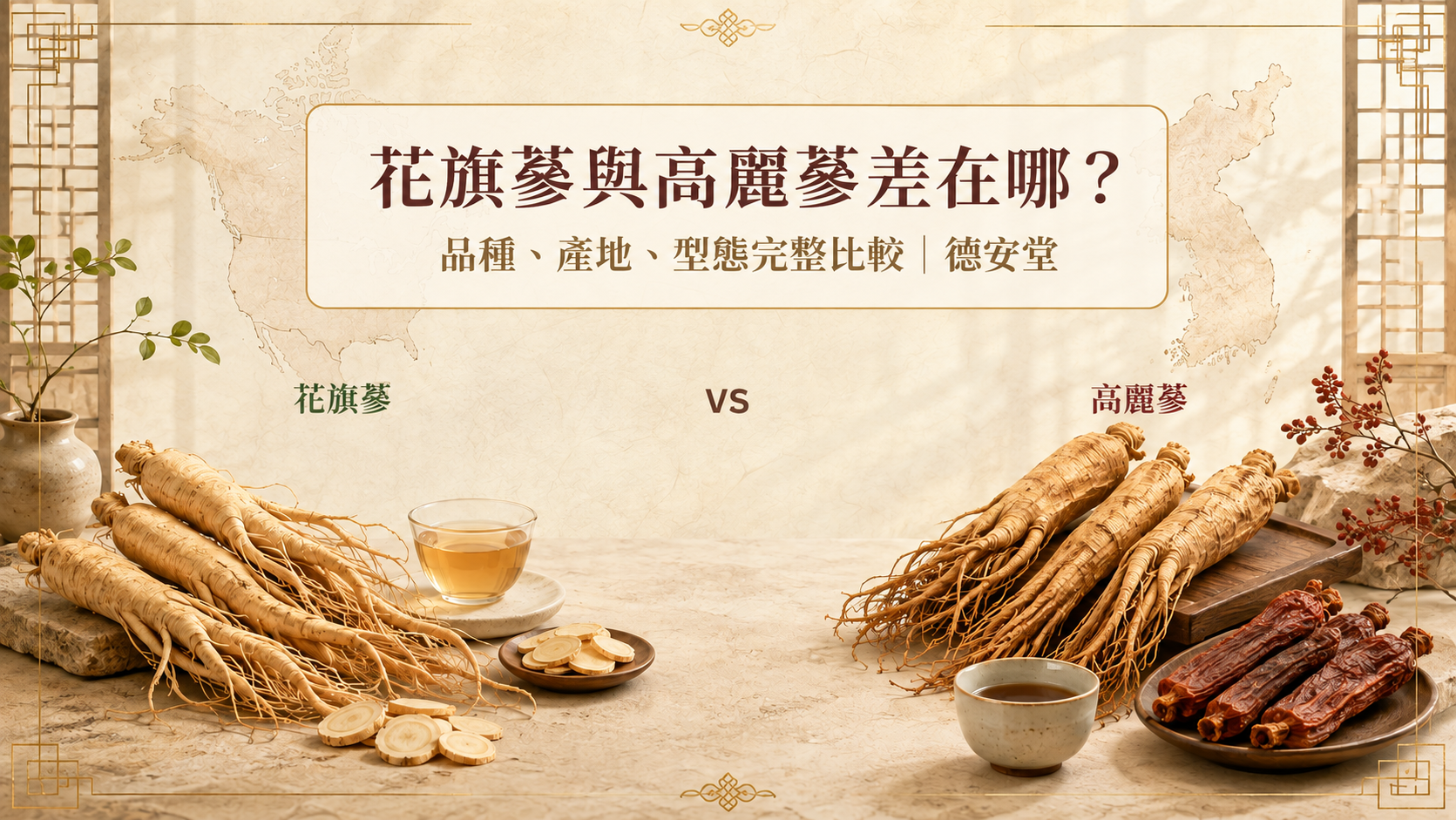 花旗蔘與高麗蔘差在哪?品種、產地、型態完整比較|德安堂