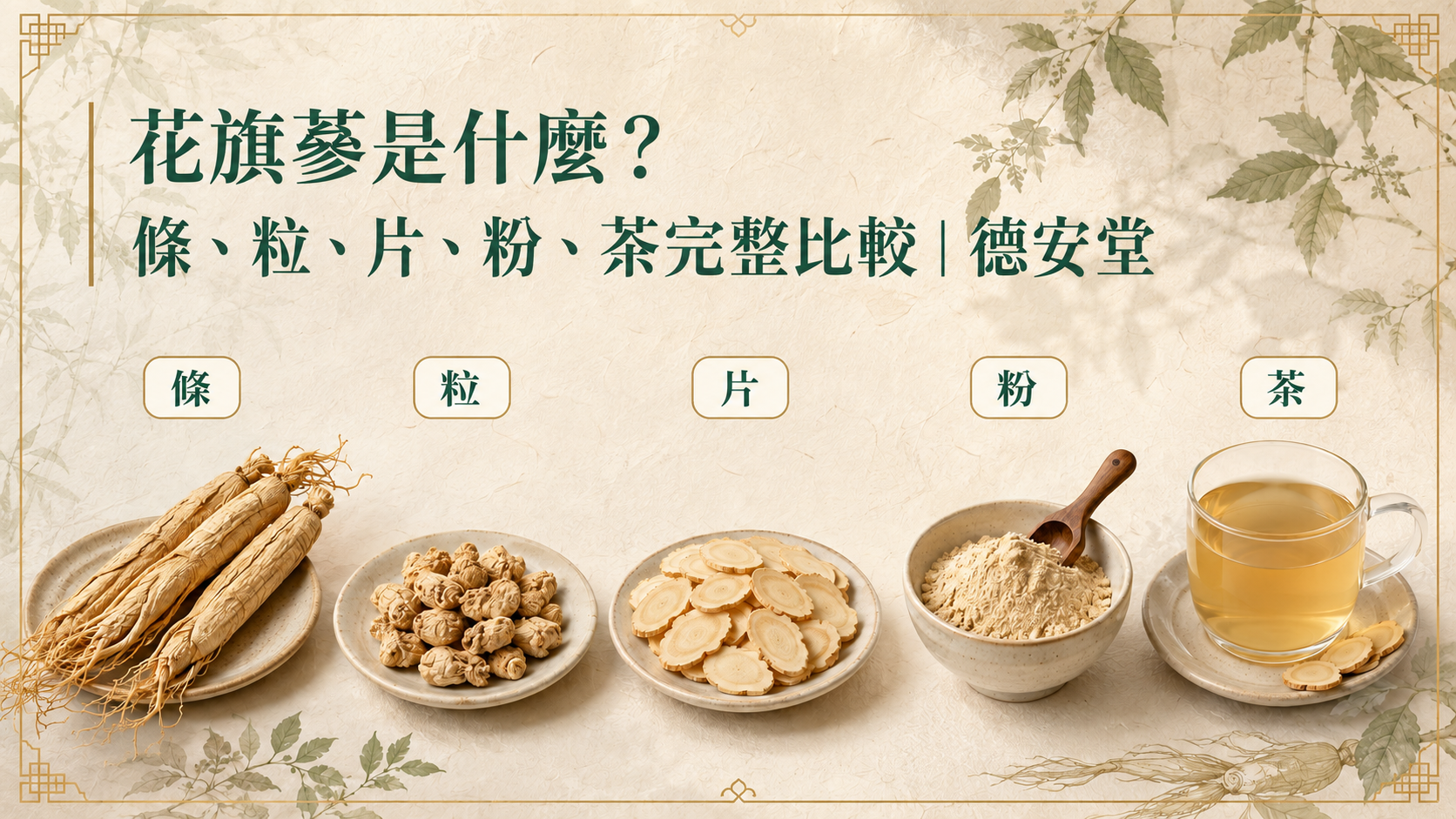 花旗蔘是什麼?條、粒、片、粉、茶完整比較|德安堂